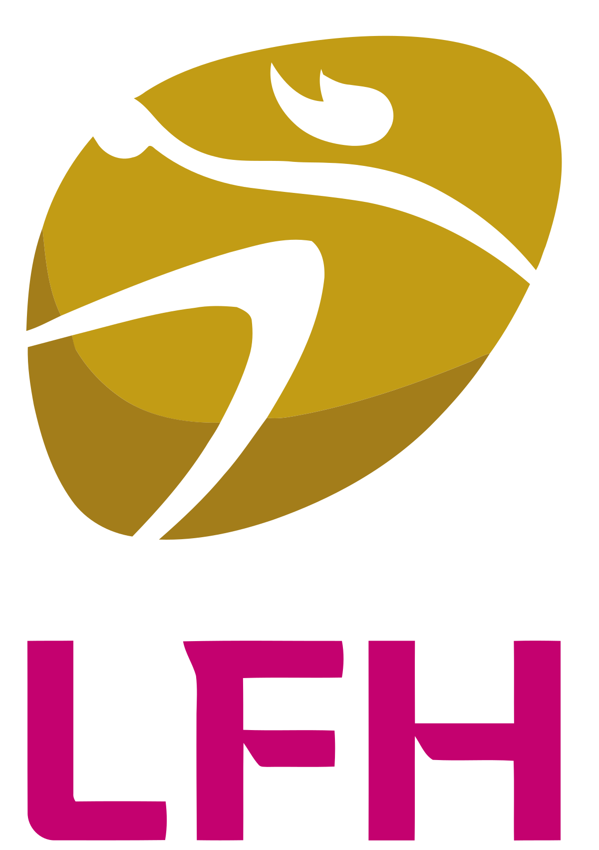 Logo Ligue Féminine de Handball