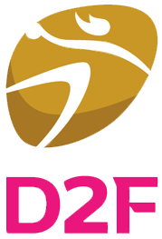 Logo Division 2 Féminine de Handball